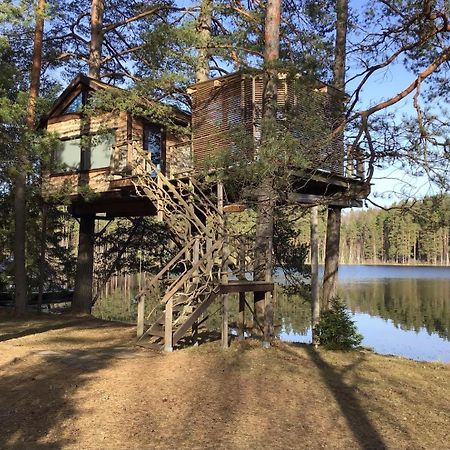 Treehouse Ciekurs Βίλα Dukuri Εξωτερικό φωτογραφία