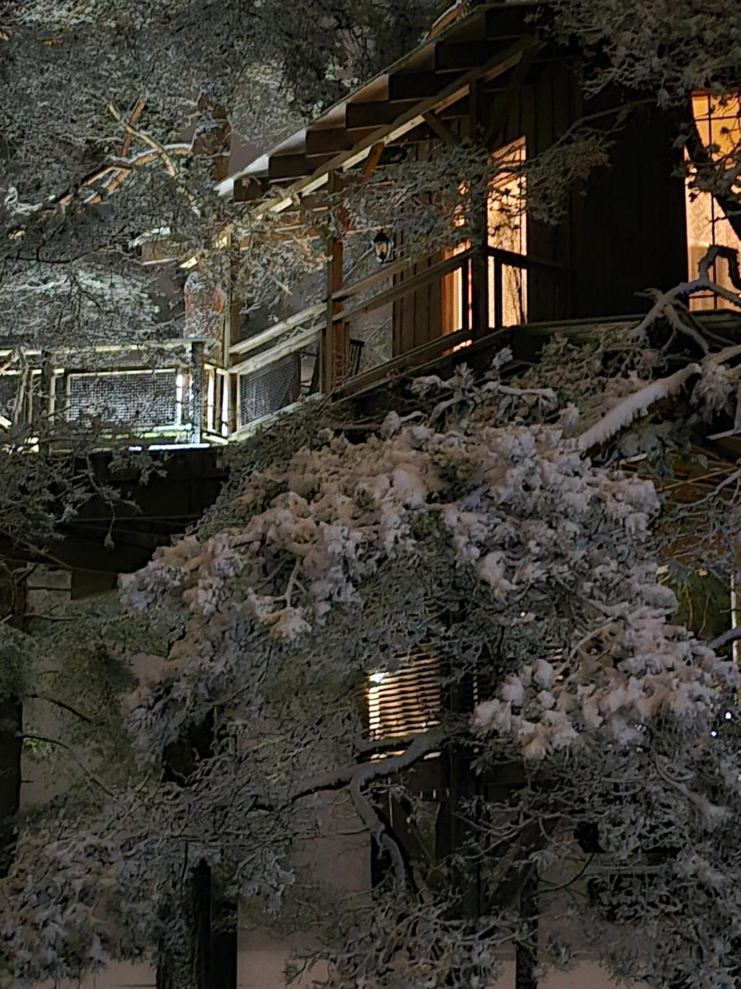 Treehouse Ciekurs Βίλα Dukuri Εξωτερικό φωτογραφία