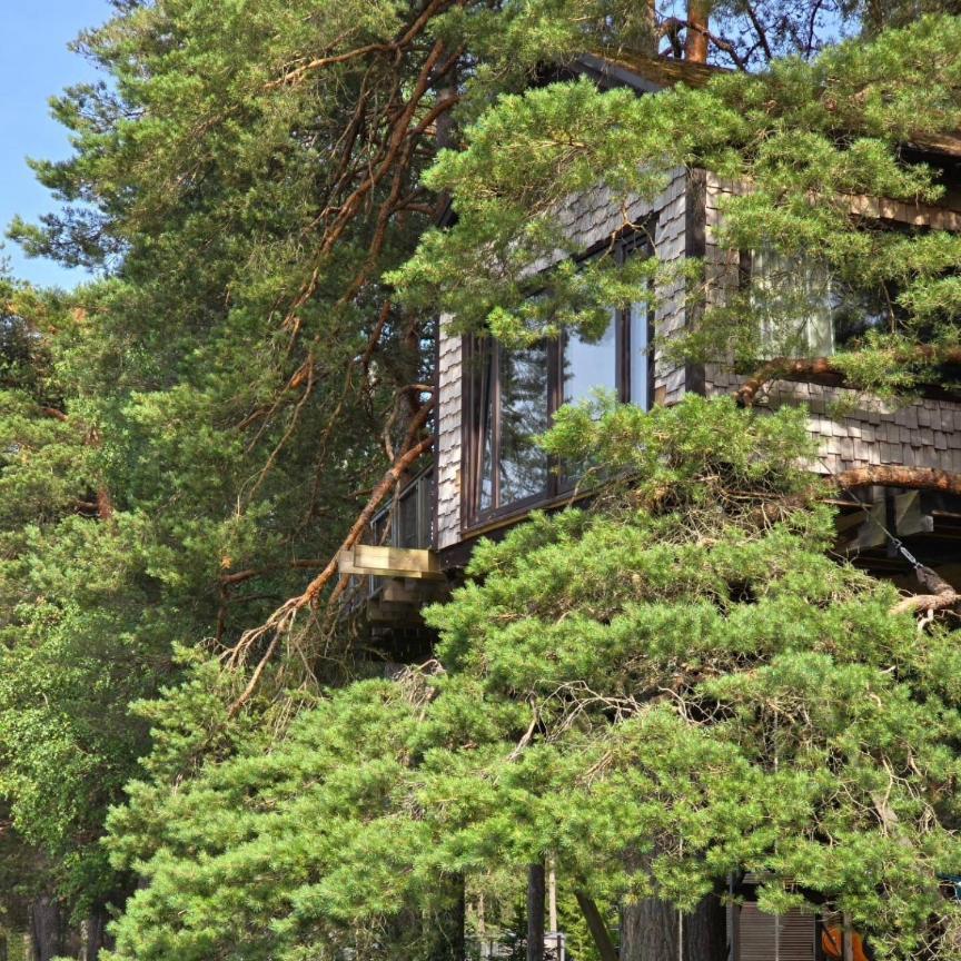 Treehouse Ciekurs Βίλα Dukuri Εξωτερικό φωτογραφία