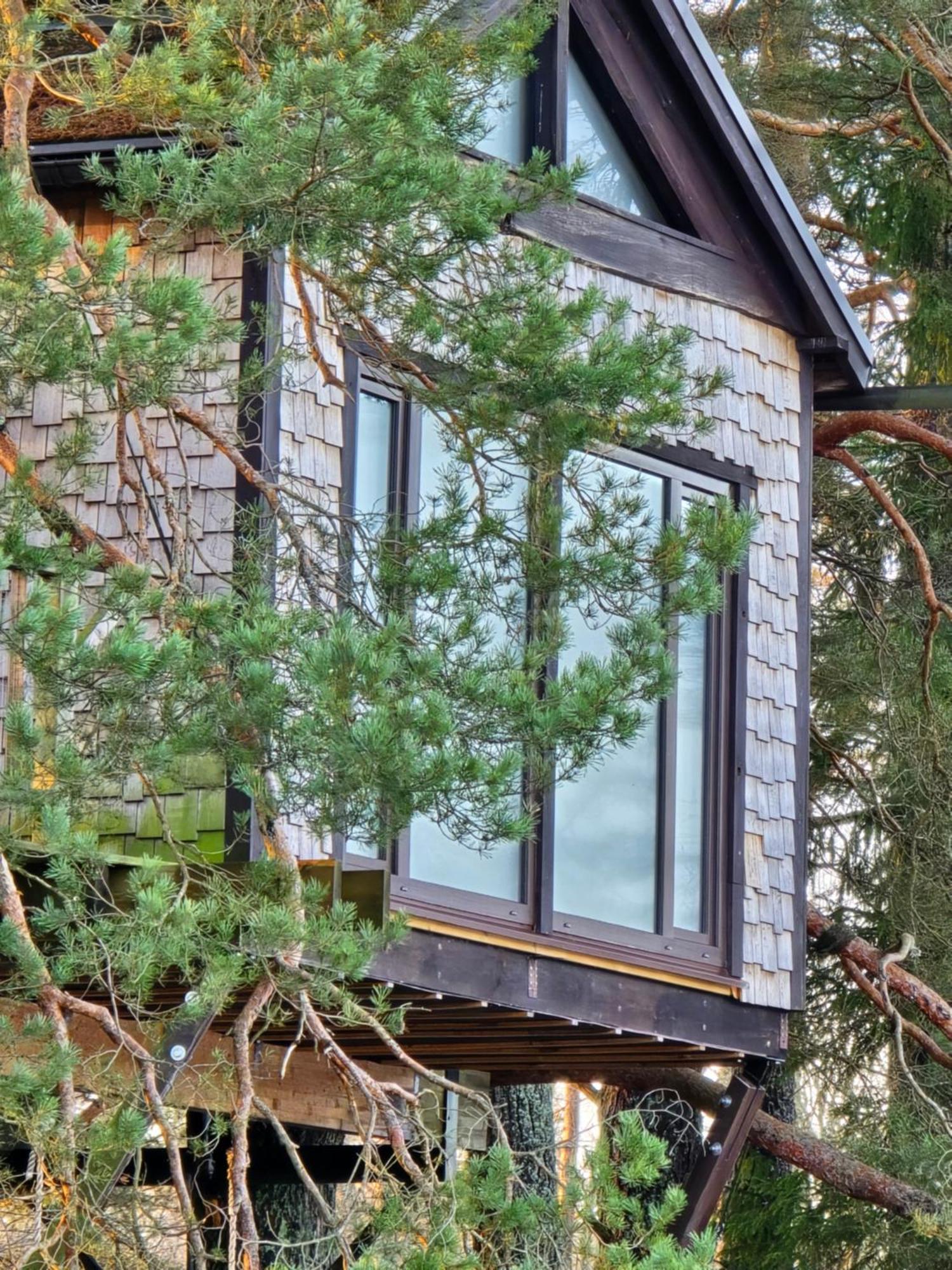 Treehouse Ciekurs Βίλα Dukuri Εξωτερικό φωτογραφία